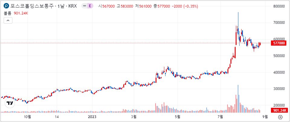 POSCO홀딩스 1년 캔들 차트