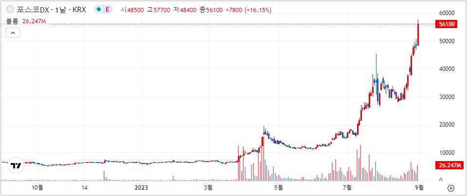 포스코DX 1년 캔들 차트