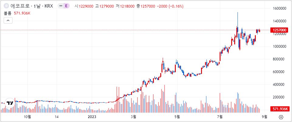 에코프로 1년 캔들 차트