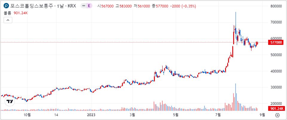 POSCO홀딩스 1년 캔들 차트