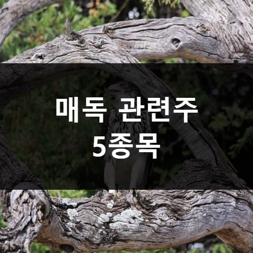 매독 관련주