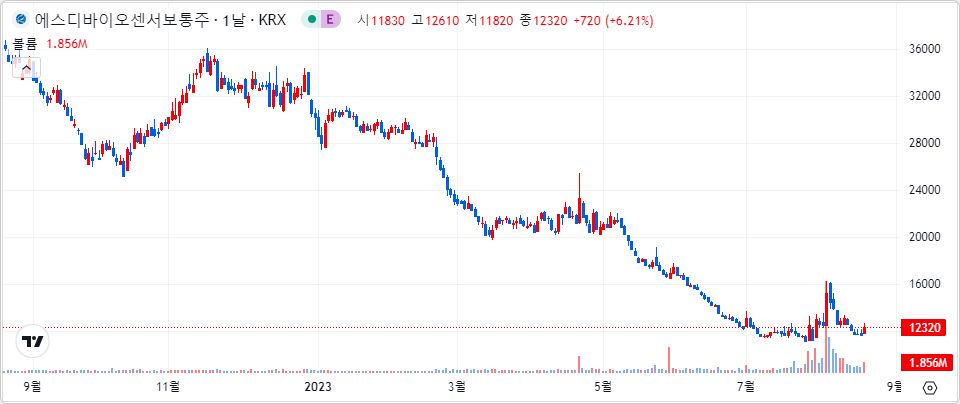 에스디바이오센서 1년 캔들 차트