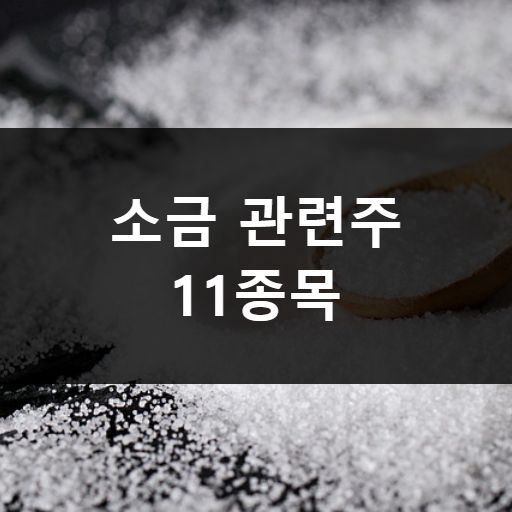 소금 관련주