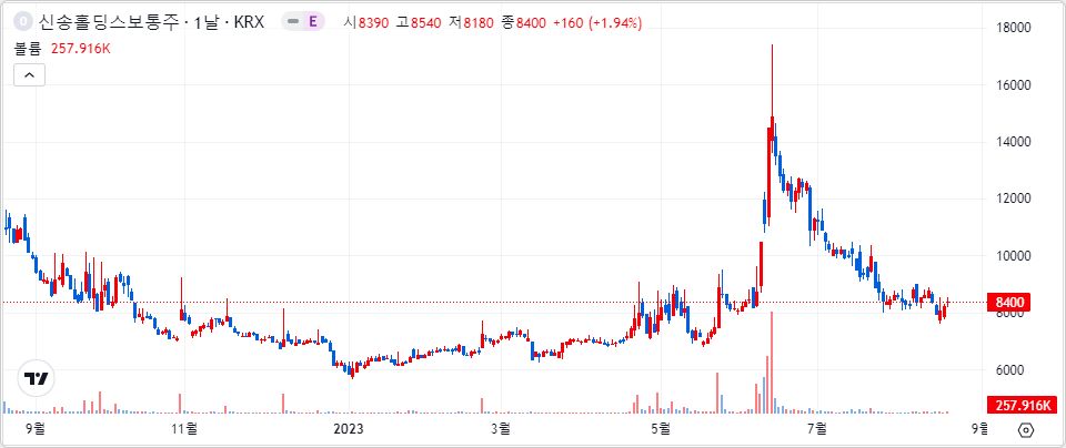 신송홀딩스 1년 캔들 차트