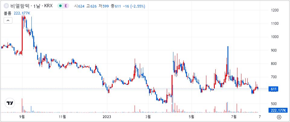 비엘팜텍 1년 캔들 차트