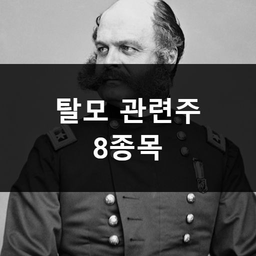 탈모 관련주