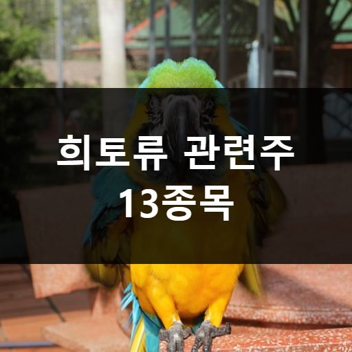 희토류 관련주