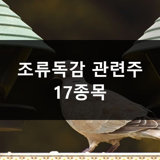 조류독감 관련주 메인 이미지